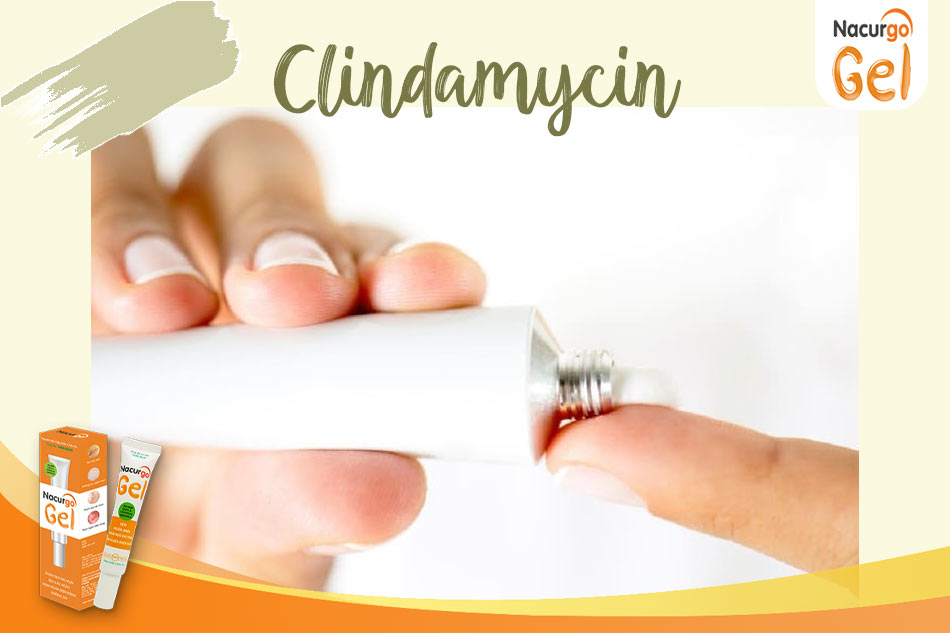 Clindamycin là một trong số ít các kháng sinh được sử dụng để trị mụn khi mang thai