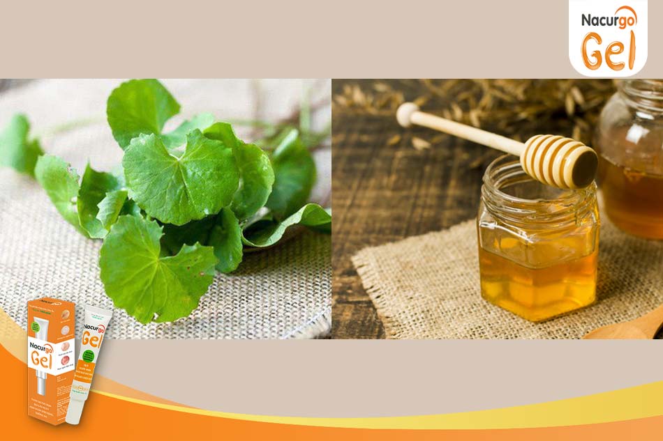 Cách làm mặt nạ trị mụn từ rau má kết hợp với mật ong nguyên chất